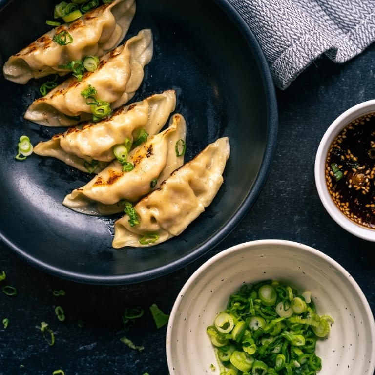 Delicious Gyoza: A Japanese Dumpling Delight